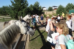 Сказочное село и частная винодельня: гастропутешествие по Киевщине